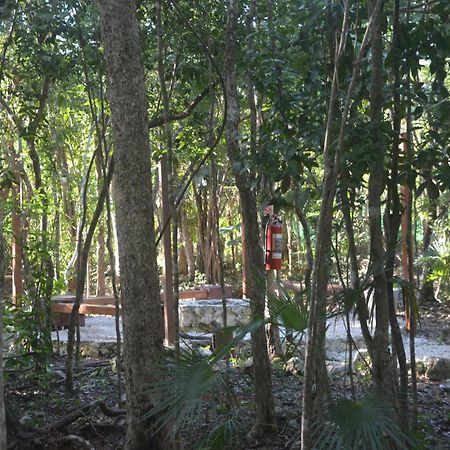 Glamping Mayan Glam تولوم المظهر الخارجي الصورة