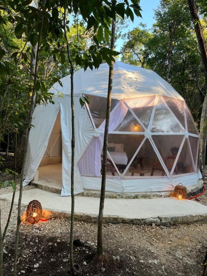 Glamping Mayan Glam تولوم المظهر الخارجي الصورة