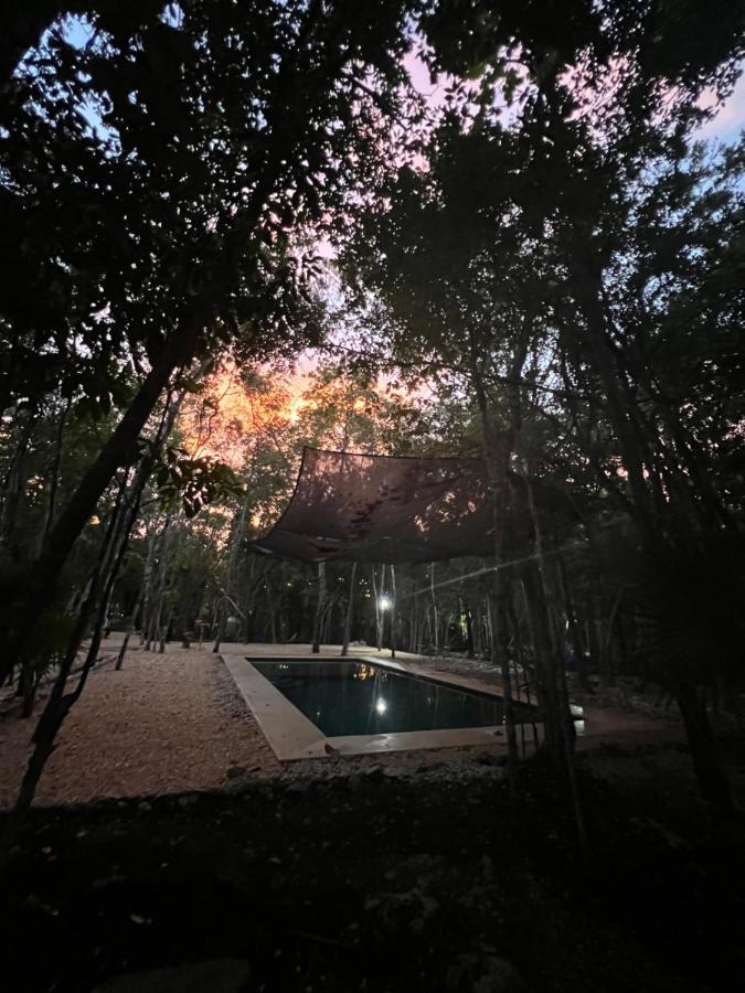 Glamping Mayan Glam تولوم المظهر الخارجي الصورة