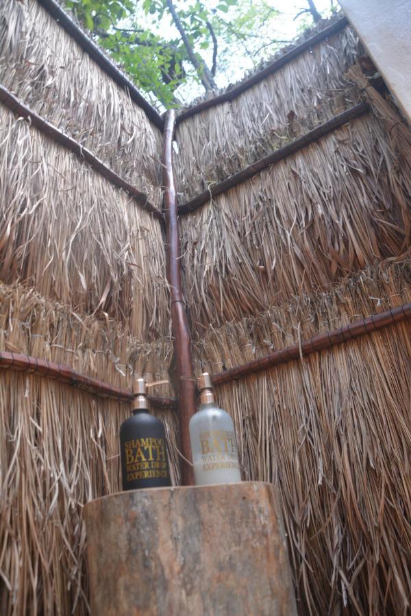 Glamping Mayan Glam تولوم المظهر الخارجي الصورة
