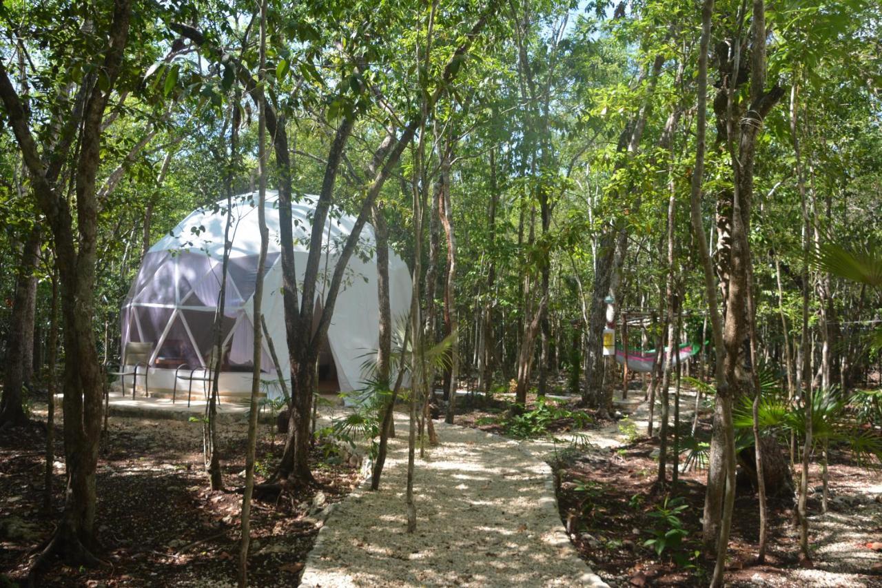 Glamping Mayan Glam تولوم المظهر الخارجي الصورة