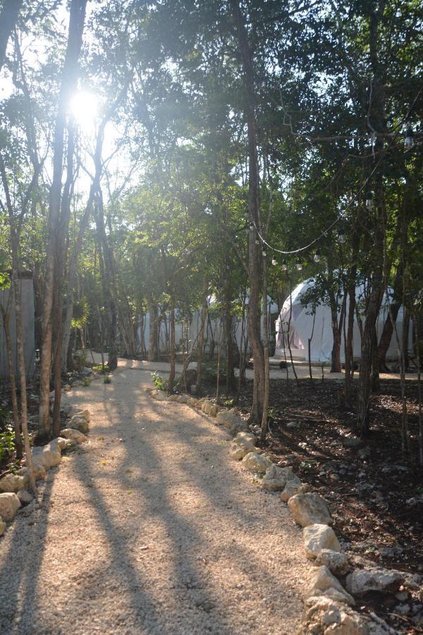 Glamping Mayan Glam تولوم المظهر الخارجي الصورة