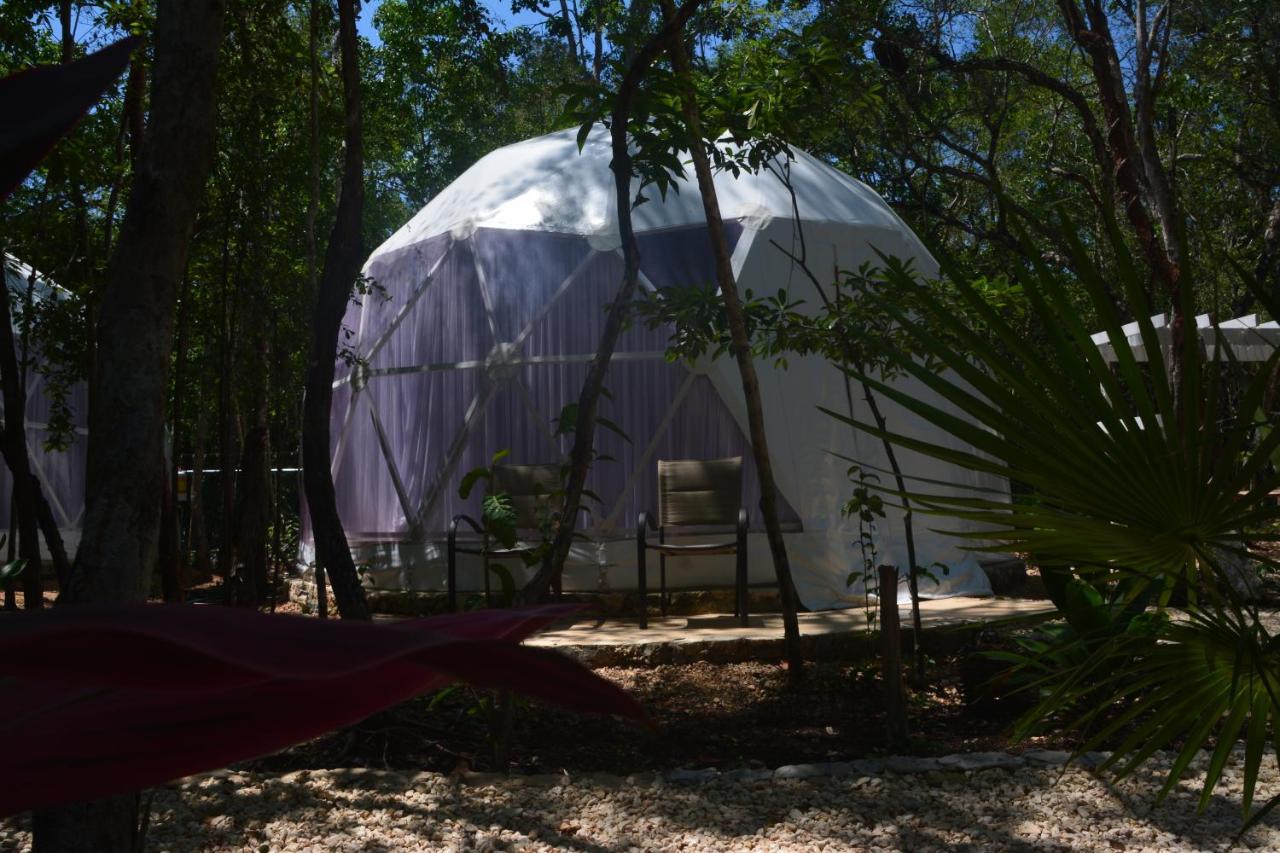 Glamping Mayan Glam تولوم المظهر الخارجي الصورة