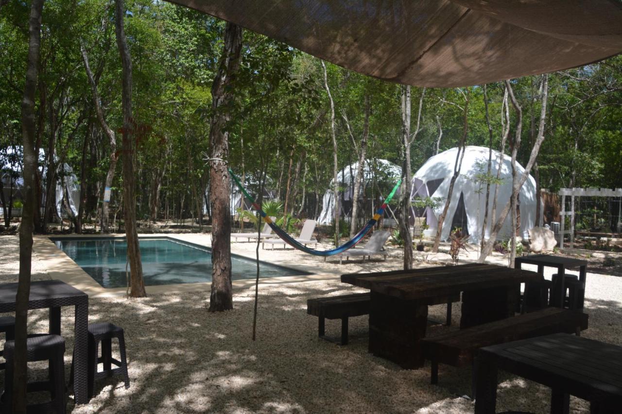 Glamping Mayan Glam تولوم المظهر الخارجي الصورة