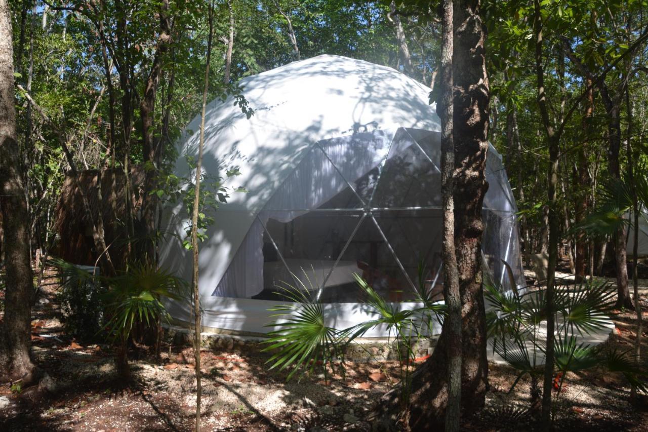 Glamping Mayan Glam تولوم المظهر الخارجي الصورة