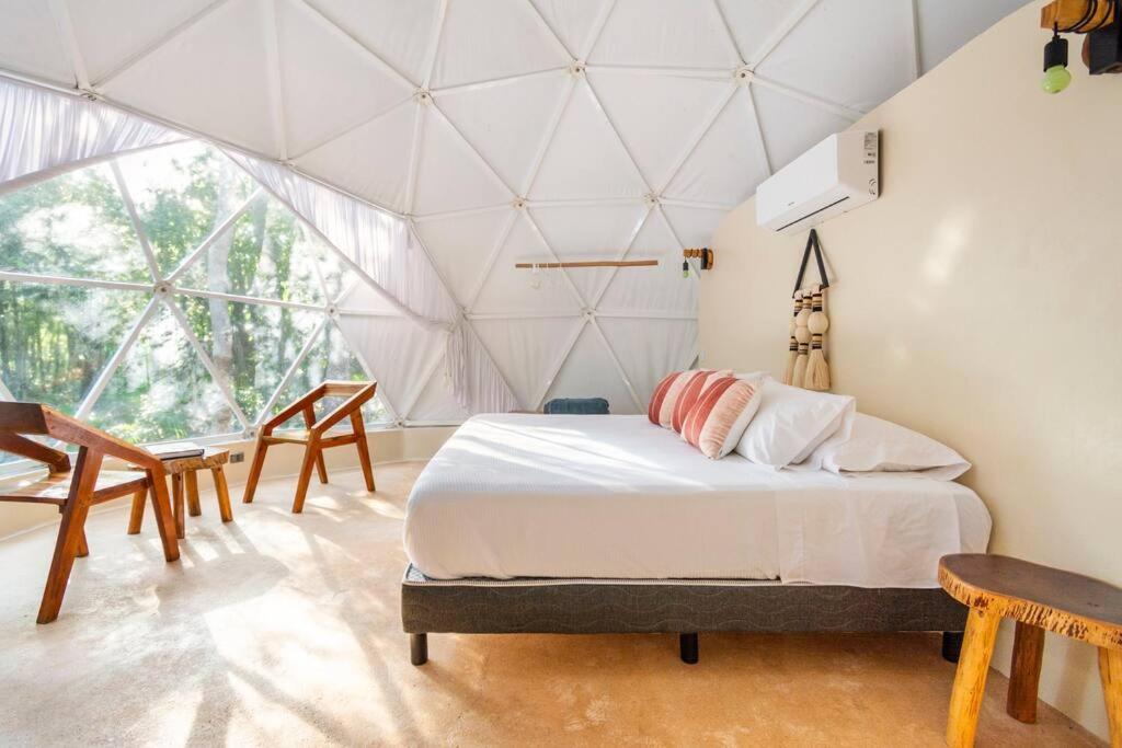 Glamping Mayan Glam تولوم المظهر الخارجي الصورة