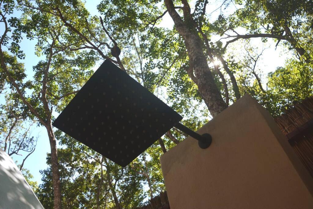Glamping Mayan Glam تولوم المظهر الخارجي الصورة