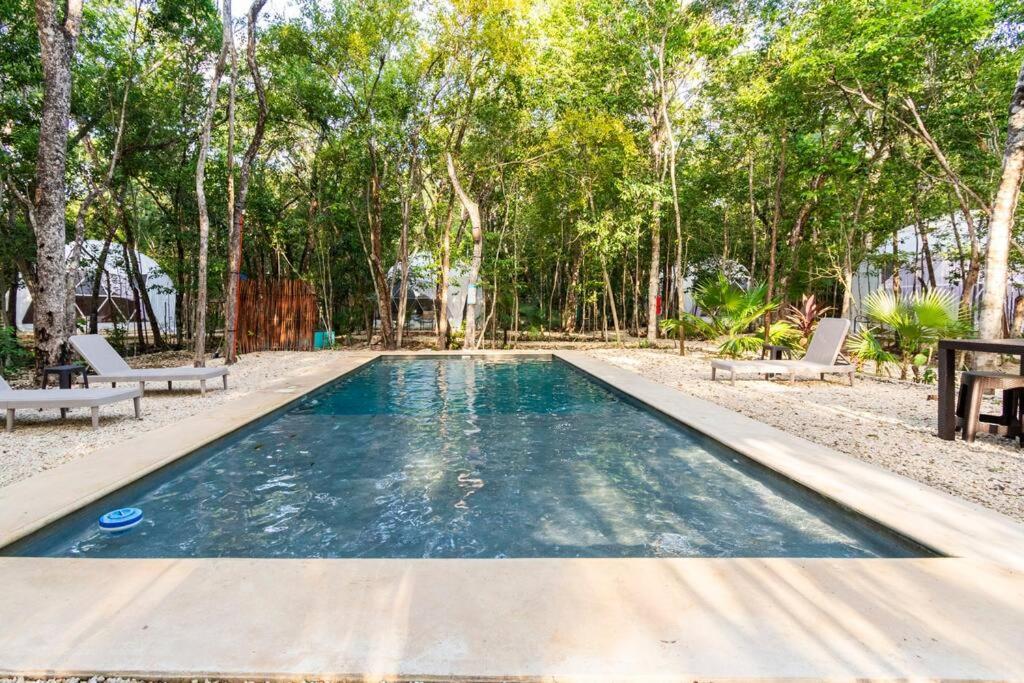 Glamping Mayan Glam تولوم المظهر الخارجي الصورة