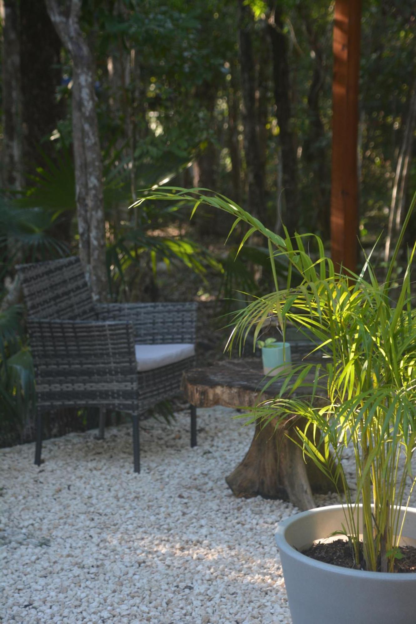 Glamping Mayan Glam تولوم المظهر الخارجي الصورة